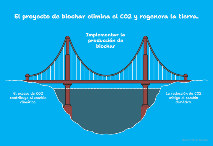 Información técnica y financiera para iniciar un proyecto de remoción de CO2 del aire por medio de la producción de biochar en 2025