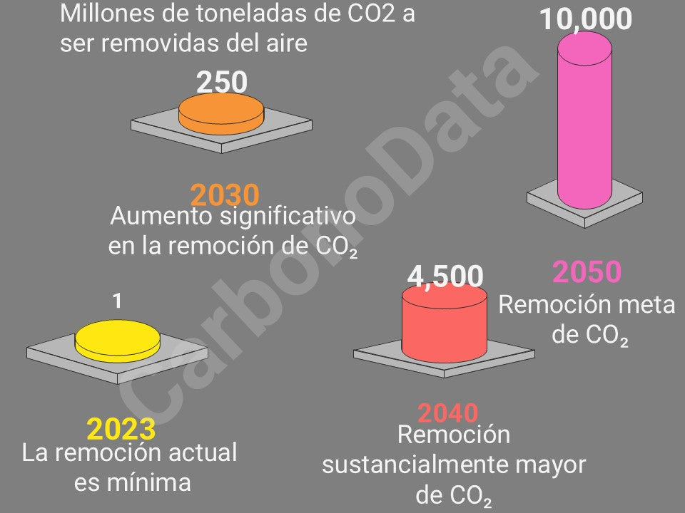 Remoción Necesaria de CO₂ por Año